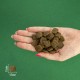 BRAVERY Herring Large/Medium Adult сухий корм для дорослих собак cередніх та великих порід, з оселедцем 12 кг BRAVERY Herring Large/Medium Adult сухий корм для дорослих собак cередніх та великих порід, з оселедцем 12 кг
