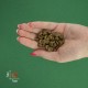 BRAVERY Herring Mini Adult сухий корм для дорослих собак дрібних порід, з оселедцем 2 кг