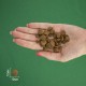 BRAVERY Herring Adult Cat Sterilized сухий корм для дорослих стерилізованих котів, з оселедцем 2 кг BRAVERY Herring Adult Cat Sterilized сухий корм для дорослих стерилізованих котів, з оселедцем 2 кг