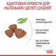 Корм для цуценят ROYAL CANIN XSMALL PUPPY 3 кг