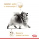 Вологий корм для собак ROYAL CANIN POMERANIAN ADULT паштет 85 г Вологий корм для собак ROYAL CANIN POMERANIAN ADULT паштет 85 г