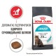 Корм для котів ROYAL CANIN URINARY CARE 10 кг Корм для котів ROYAL CANIN URINARY CARE 10 кг