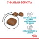 Корм для котів ROYAL CANIN URINARY CARE 10 кг Корм для котів ROYAL CANIN URINARY CARE 10 кг