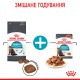 Корм для котів ROYAL CANIN URINARY CARE 10 кг Корм для котів ROYAL CANIN URINARY CARE 10 кг