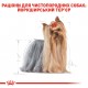 Вологий корм для дорослих собак ROYAL CANIN YORKSHIRE ADULT 0.085 кг