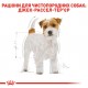 Корм для дорослих собак ROYAL CANIN JACK RUSSEL ADULT 7.5 кг