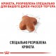 Корм для дорослих собак ROYAL CANIN JACK RUSSEL ADULT 7.5 кг