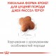 Корм для цуценят ROYAL CANIN JACK RUSSEL PUPPY 1.5 кг Корм для цуценят ROYAL CANIN JACK RUSSEL PUPPY 1.5 кг
