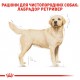Корм для дорослих собак ROYAL CANIN LABRADOR ADULT 12 кг