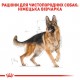 Корм для дорослих собак ROYAL CANIN GERMAN SHEPHERD ADULT 11 кг