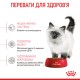 Корм для кошенят ROYAL CANIN KITTEN 2 кг