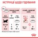 Корм для кошенят ROYAL CANIN KITTEN 2 кг