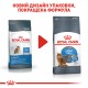Корм для котів ROYAL CANIN LIGHT WEIGHT CARE 0.4 кг Корм для котів ROYAL CANIN LIGHT WEIGHT CARE 0.4 кг