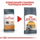 Корм для котів ROYAL CANIN HAIR&SKIN CARE 0.4 кг