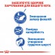 Корм для домашніх котів ROYAL CANIN INDOOR 0.4 кг