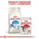 Корм для домашніх котів ROYAL CANIN INDOOR 0.4 кг