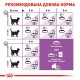 Корм для дорослих стерилізованих котів ROYAL CANIN STERILISED 0.4 кг