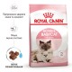 Корм для новонароджених кошенят і кішок ROYAL CANIN MOTHER&BABYCAT 2 кг