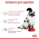 Корм для новонароджених кошенят і кішок ROYAL CANIN MOTHER&BABYCAT 2 кг