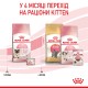 Корм для новонароджених кошенят і кішок ROYAL CANIN MOTHER&BABYCAT 2 кг