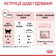 Корм для новонароджених кошенят і кішок ROYAL CANIN MOTHER&BABYCAT 2 кг