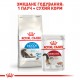 Корм для домашніх котів ROYAL CANIN INDOOR LONGHAIR 2 кг