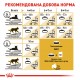 Корм для дорослих котів ROYAL CANIN MAINECOON ADULT 10 кг
