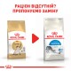 Корм для дорослих котів ROYAL CANIN SIAMESE ADULT 0.4 кг