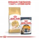 Корм для дорослих котів ROYAL CANIN SPHYNX ADULT 10 кг
