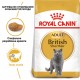 Корм для дорослих котів ROYAL CANIN BRITISH SHORTHAIR ADULT 10 кг