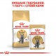 Корм для дорослих котів ROYAL CANIN BRITISH SHORTHAIR ADULT 10 кг
