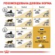 Корм для дорослих котів ROYAL CANIN BRITISH SHORTHAIR ADULT 10 кг