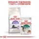 Корм для дорослих стерилізованих котів ROYAL CANIN STERILISED 7+ 1.5 кг Корм для дорослих стерилізованих котів ROYAL CANIN STERILISED 7+ 1.5 кг