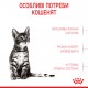 Корм для стерилізованих кошенят ROYAL CANIN KITTEN STERILISED 0.4 кг