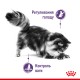 Корм для дорослих котів ROYAL CANIN APPETITE CONTROL CARE 2 кг Корм для дорослих котів ROYAL CANIN APPETITE CONTROL CARE 2 кг