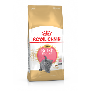 Корм для кошенят ROYAL CANIN KITTEN BRITISH SHORTHAIR 2 кг