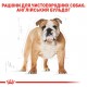 Корм для собак ROYAL CANIN BULLDOG ADULT 12 кг