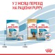 Корм для новонароджених собак ROYAL CANIN MINI STARTER 1 кг