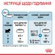 Корм для новонароджених собак ROYAL CANIN MINI STARTER 1 кг