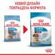 Корм для новонароджених собак ROYAL CANIN MEDIUM STARTER 1 кг