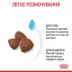 Корм для новонароджених собак ROYAL CANIN MEDIUM STARTER 1 кг