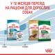 Корм для цуценят ROYAL CANIN MINI PUPPY 0.8 кг