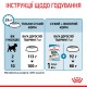 Корм для цуценят ROYAL CANIN MINI PUPPY 0.8 кг