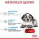 Корм для цуценят ROYAL CANIN MEDIUM PUPPY 1 кг