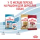 Корм для цуценят ROYAL CANIN MEDIUM PUPPY 1 кг