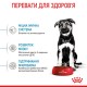 Корм для цуценят ROYAL CANIN MAXI PUPPY 1 кг Корм для цуценят ROYAL CANIN MAXI PUPPY 1 кг