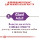 Корм для дорослих собак ROYAL CANIN GIANT ADULT 4 кг