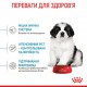 Корм для цуценят ROYAL CANIN GIANT PUPPY 15 кг