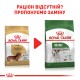 Корм для дорослих собак ROYAL CANIN DACHSHUND ADULT 1.5 кг Корм для дорослих собак ROYAL CANIN DACHSHUND ADULT 1.5 кг