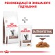 Корм для дорослих котів ROYAL CANIN GASTRO INTESTINAL CAT 0.4 кг